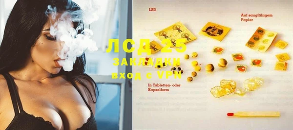 трава Сатка