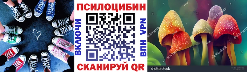 Галлюциногенные грибы GOLDEN TEACHER  omg онион  Называевск 